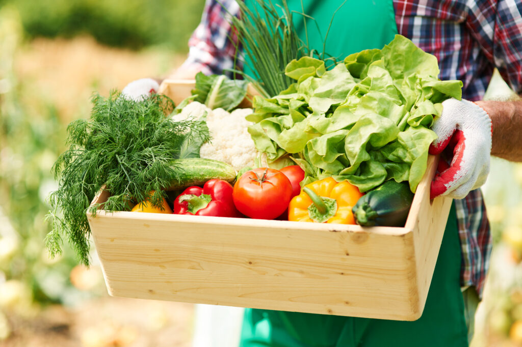 close-up-box-with-vegetables-hands-mature-man-1